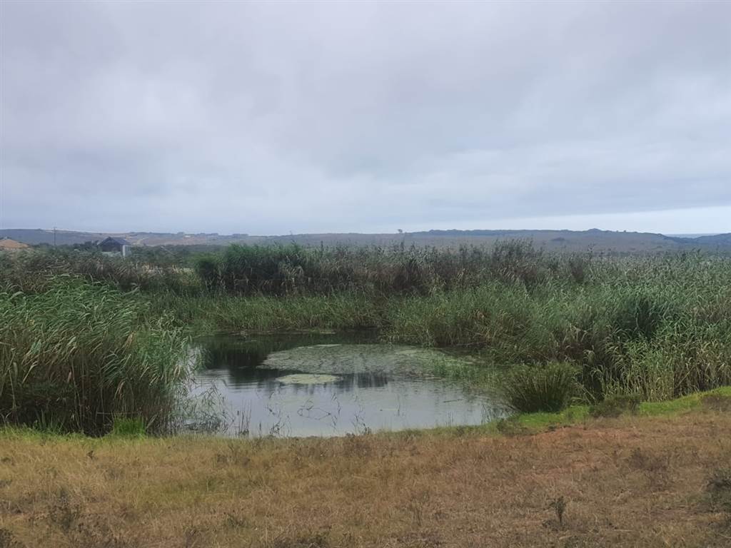 1452 m² Land available in Hartenbos photo number 3