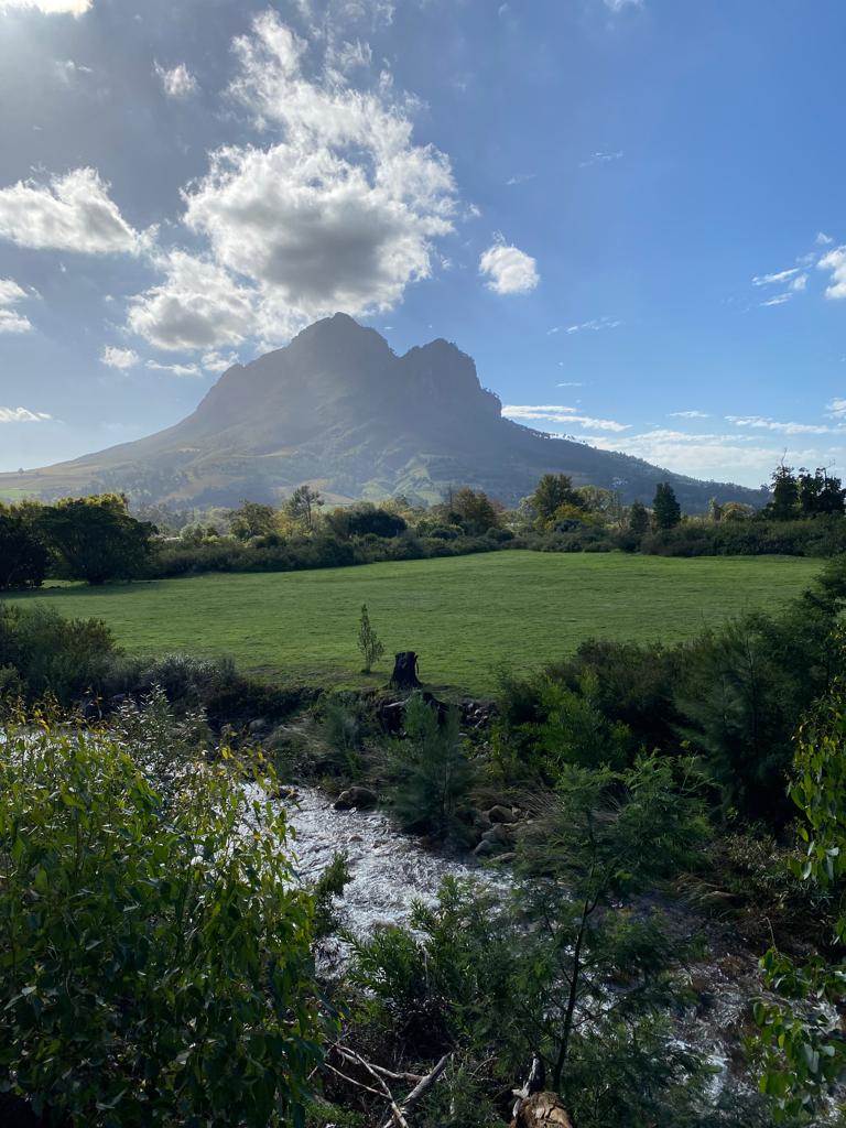 4 ha Farm in Stellenbosch Agricultural photo number 8