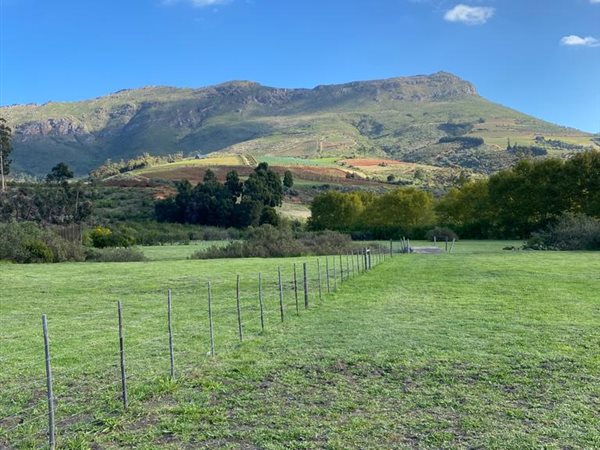4 ha Farm in Stellenbosch Agricultural