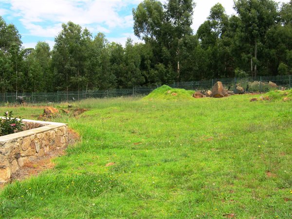 908 m² Land available in Dullstroom