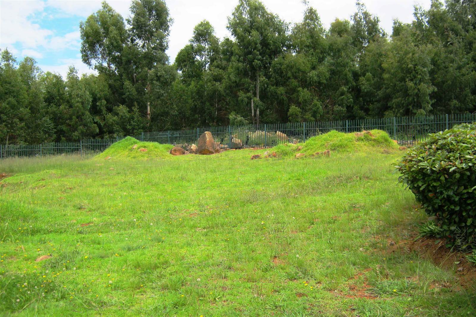 908 m² Land available in Dullstroom photo number 3
