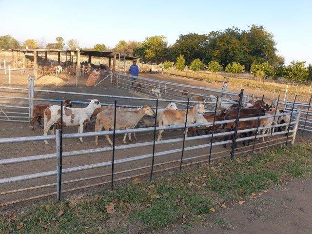 93.2 ha Farm in Rietfontein AH photo number 2