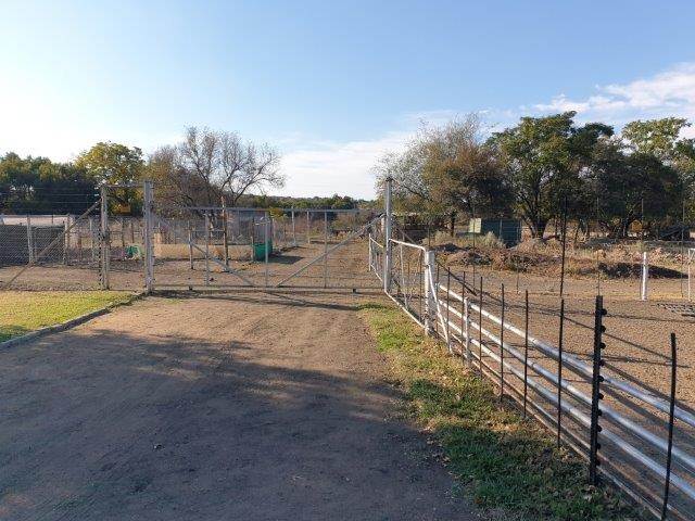 93.2 ha Farm in Rietfontein AH photo number 9