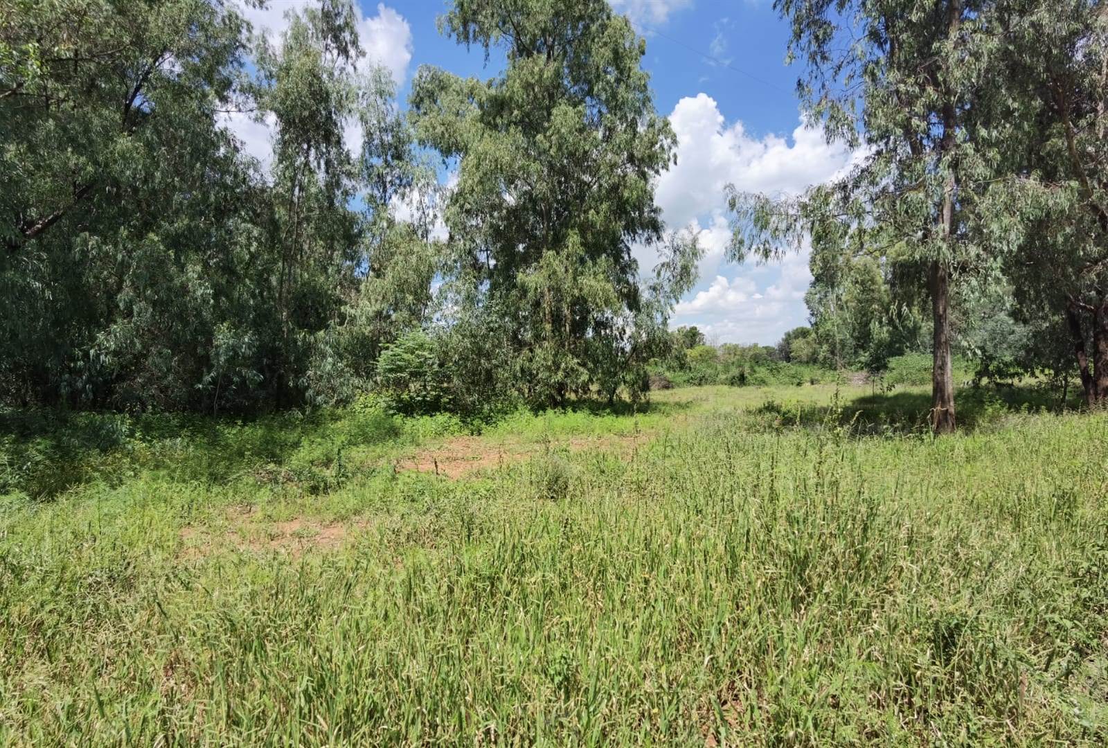 2.2 ha Land available in Benoni AH photo number 11