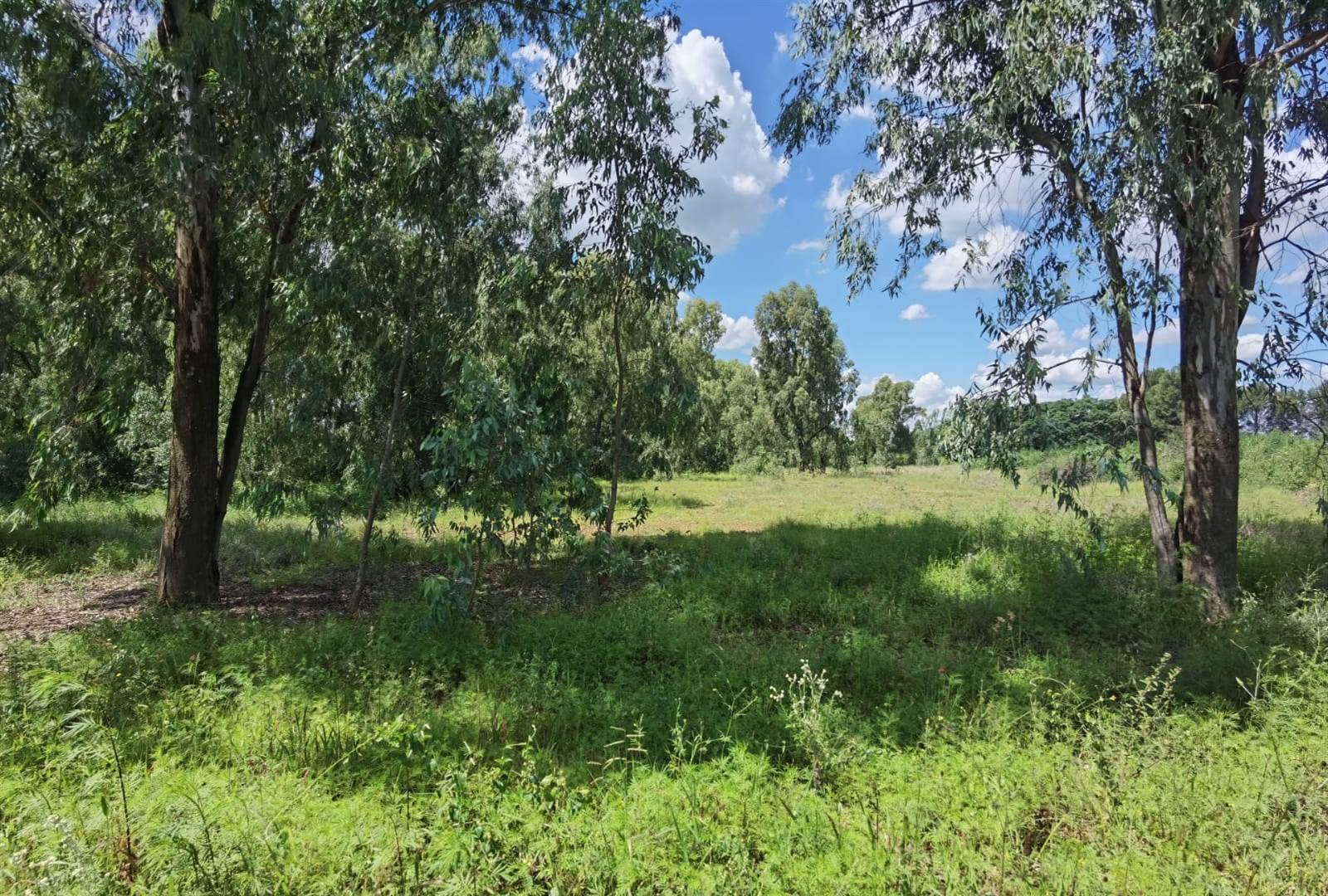 2.2 ha Land available in Benoni AH photo number 4