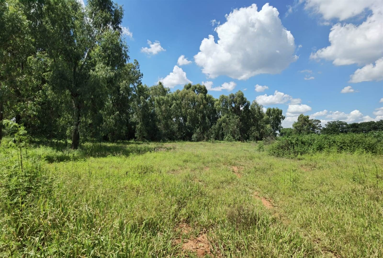 2.2 ha Land available in Benoni AH photo number 5