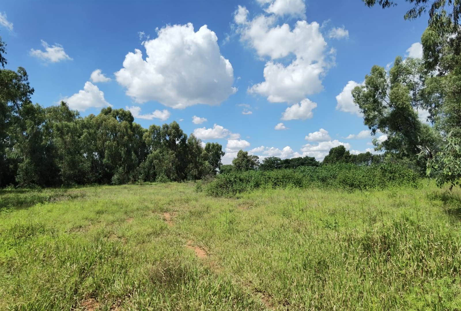 2.2 ha Land available in Benoni AH photo number 9