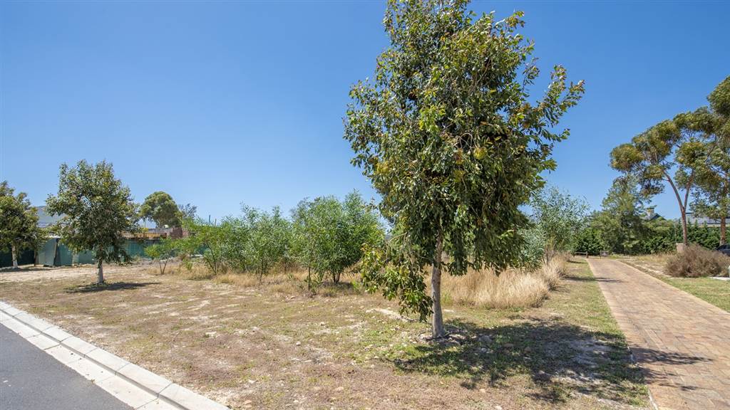 1168 m² Land available in Val de Vie photo number 3