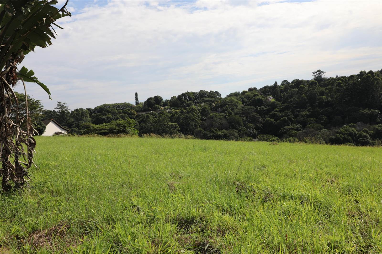 973 m² Land available in Forest Hills photo number 7
