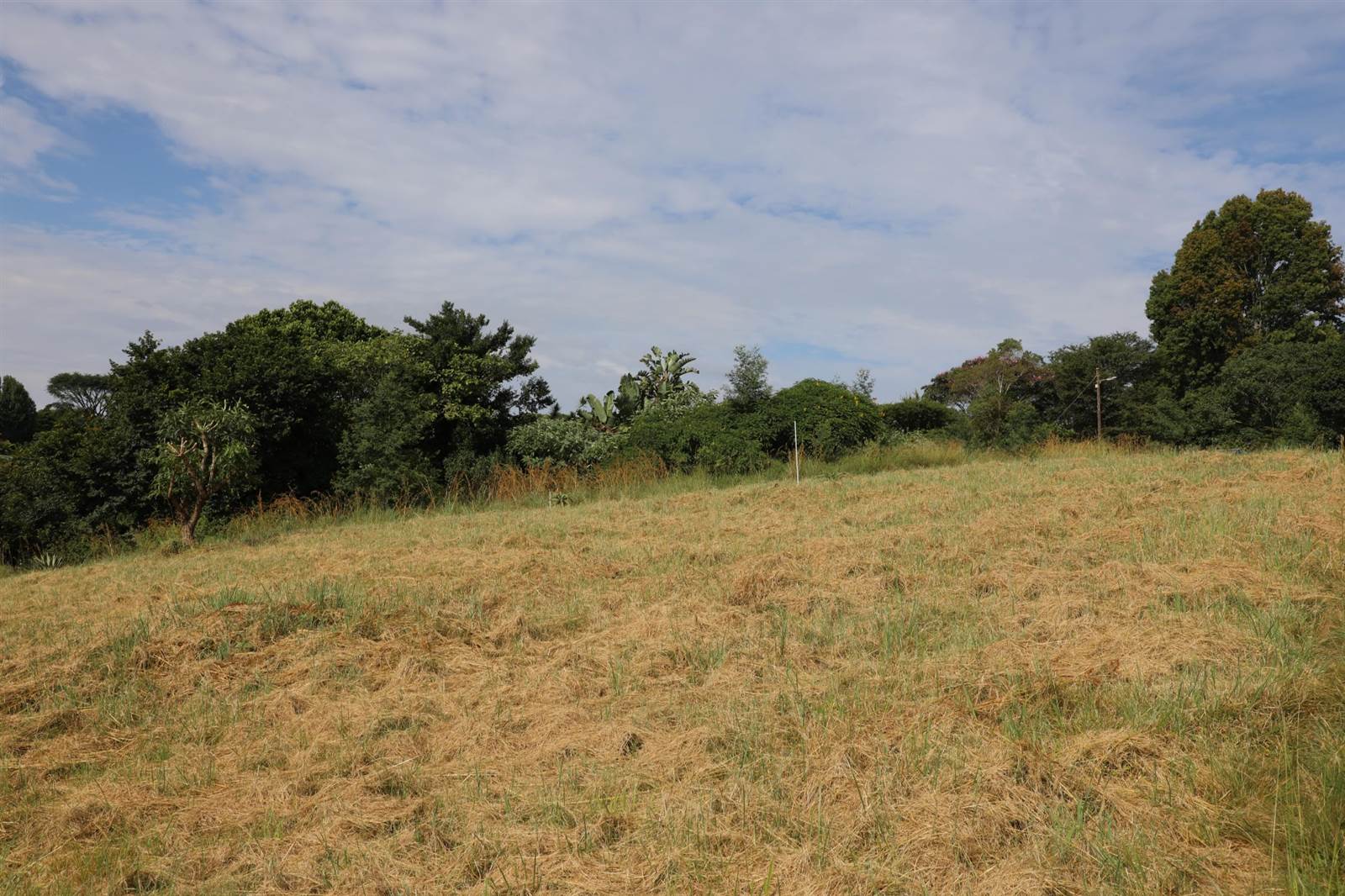973 m² Land available in Forest Hills photo number 4