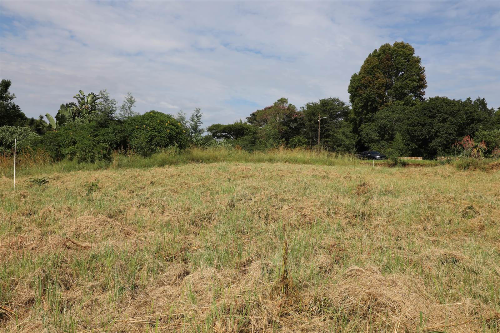 973 m² Land available in Forest Hills photo number 5