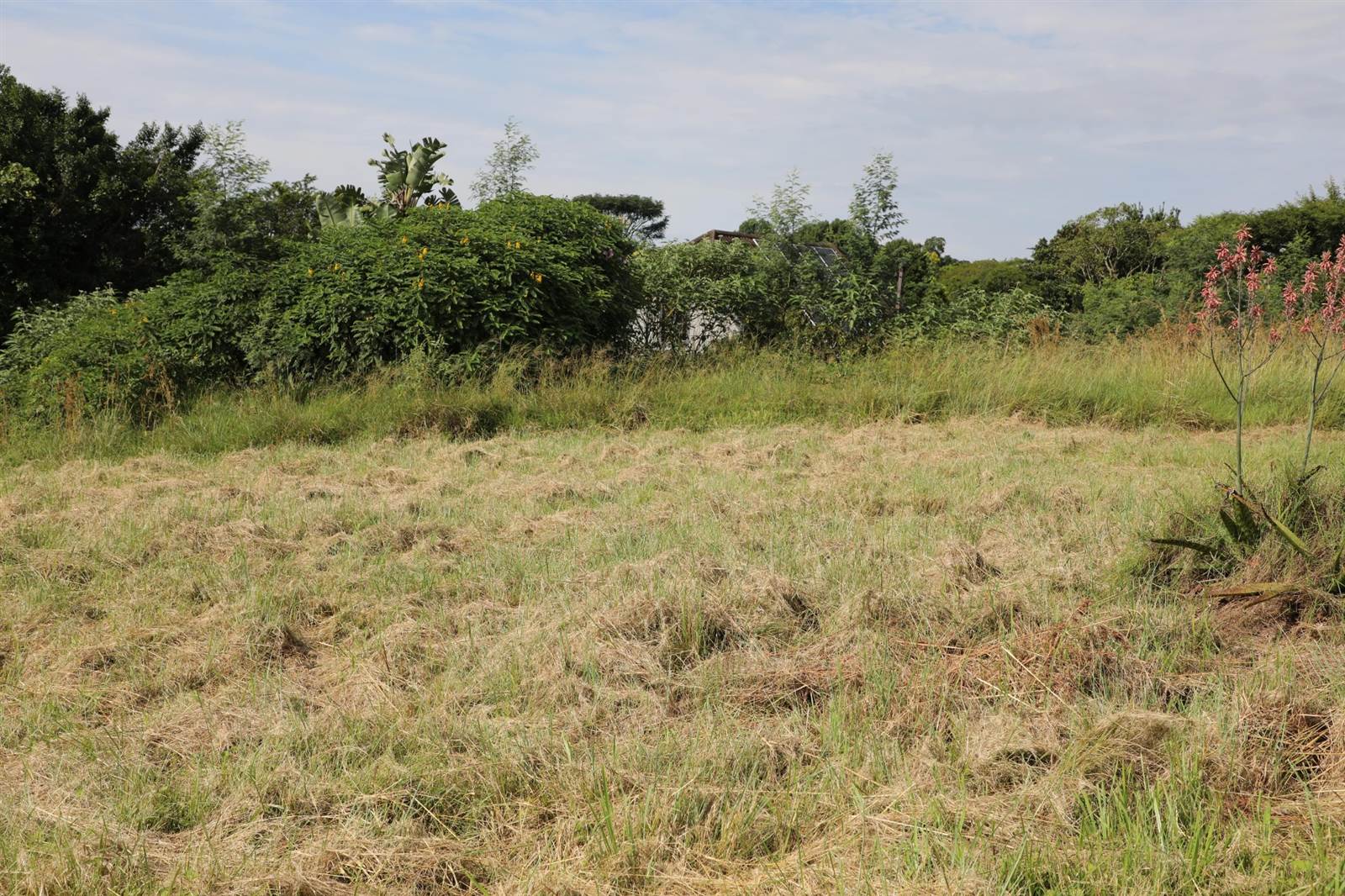 973 m² Land available in Forest Hills photo number 9