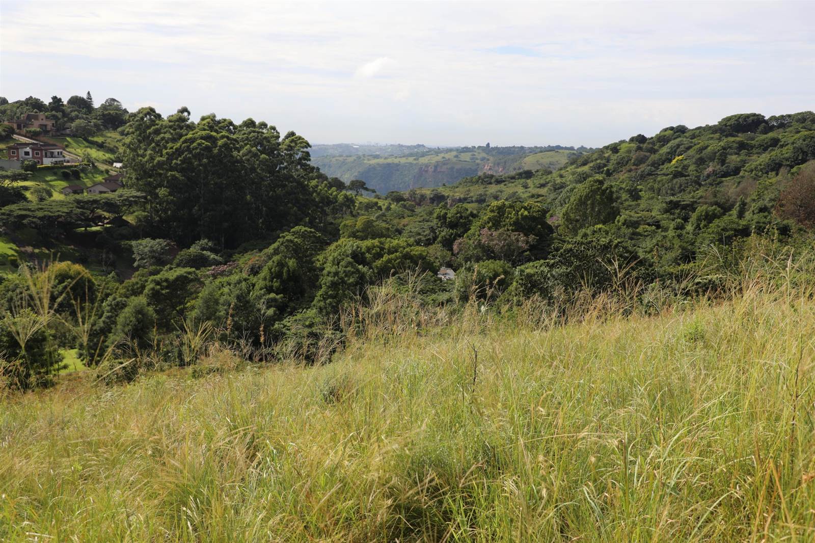 973 m² Land available in Forest Hills photo number 1