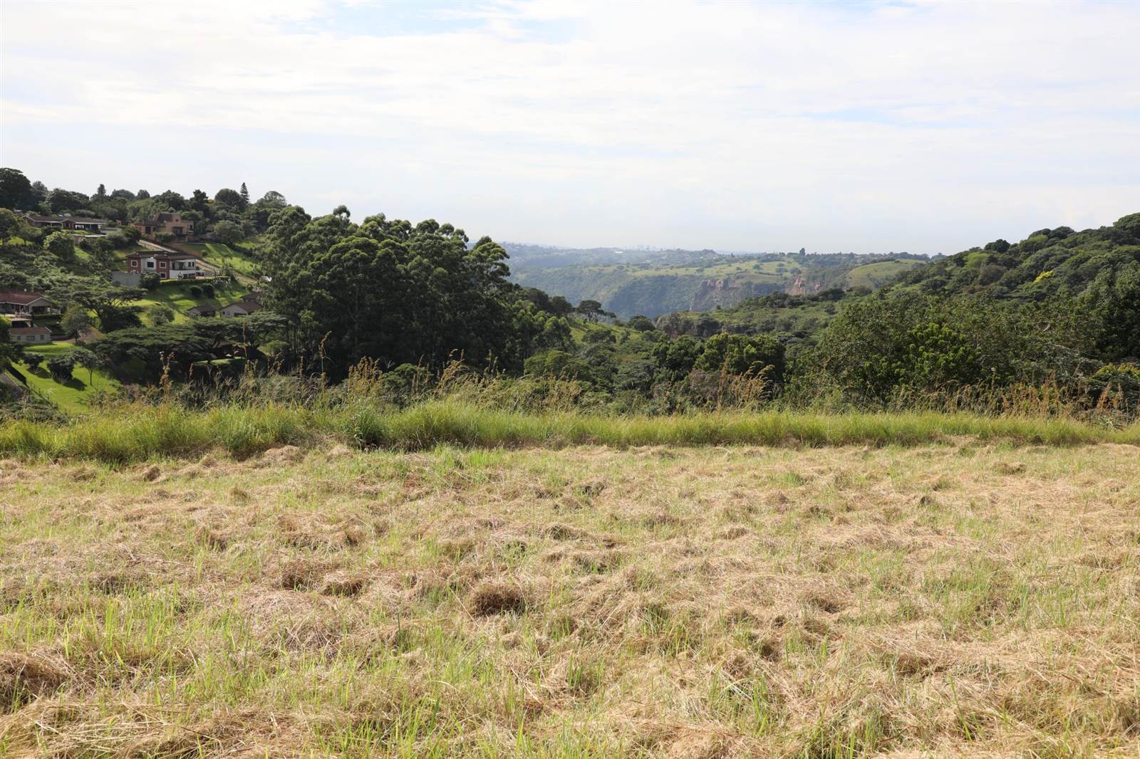 973 m² Land available in Forest Hills photo number 3