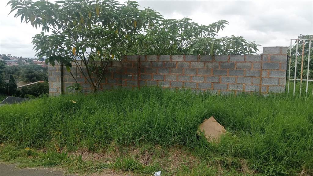 988 m² Land available in Allandale photo number 4