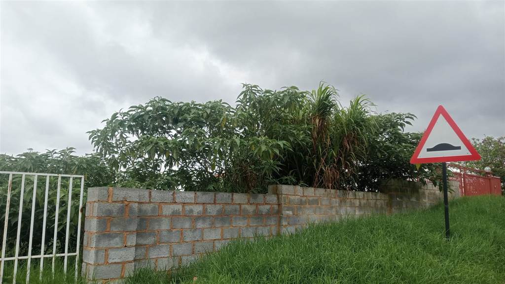 988 m² Land available in Allandale photo number 3