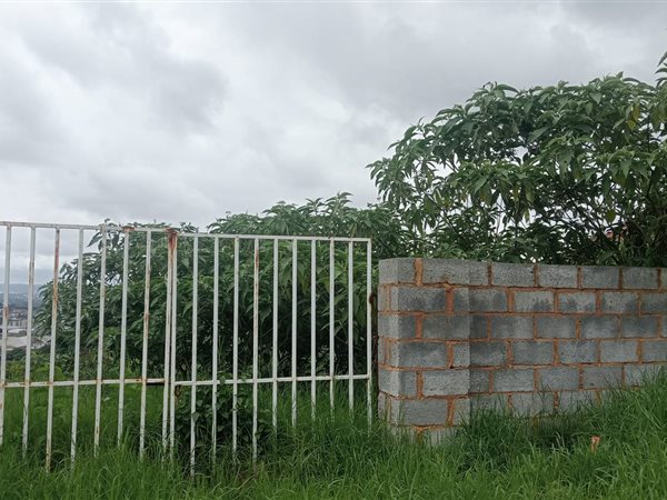 988 m² Land available in Allandale