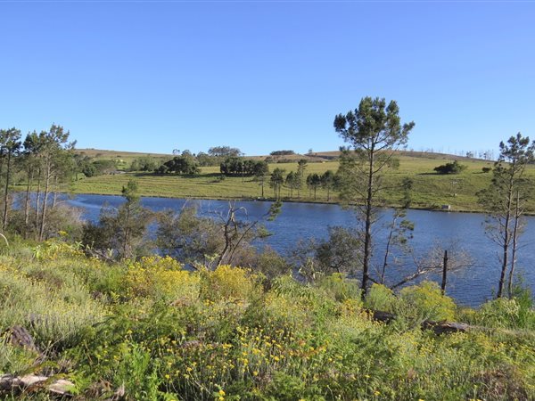 147 ha Land available in Grahamstown