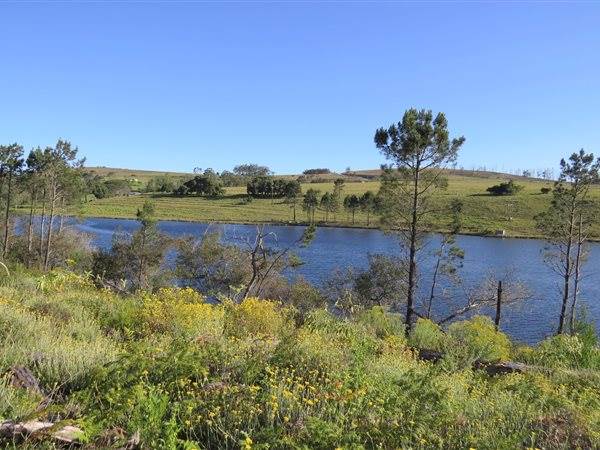 147 ha Land available in Grahamstown photo number 1