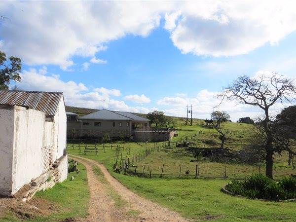 147 ha Land available in Grahamstown photo number 19