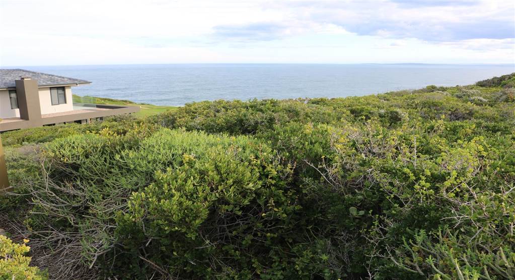 896 m² Land available in Pinnacle Point Golf Estate photo number 14