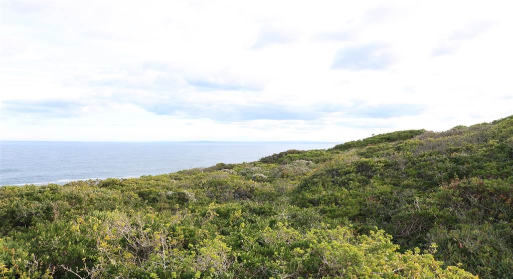 896 m² Land available in Pinnacle Point Golf Estate photo number 6