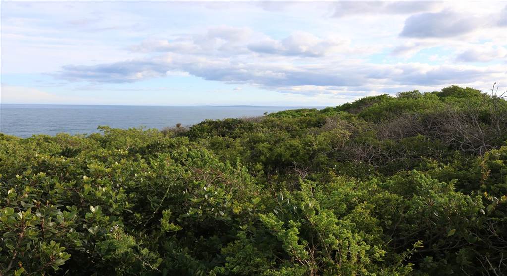 896 m² Land available in Pinnacle Point Golf Estate photo number 17