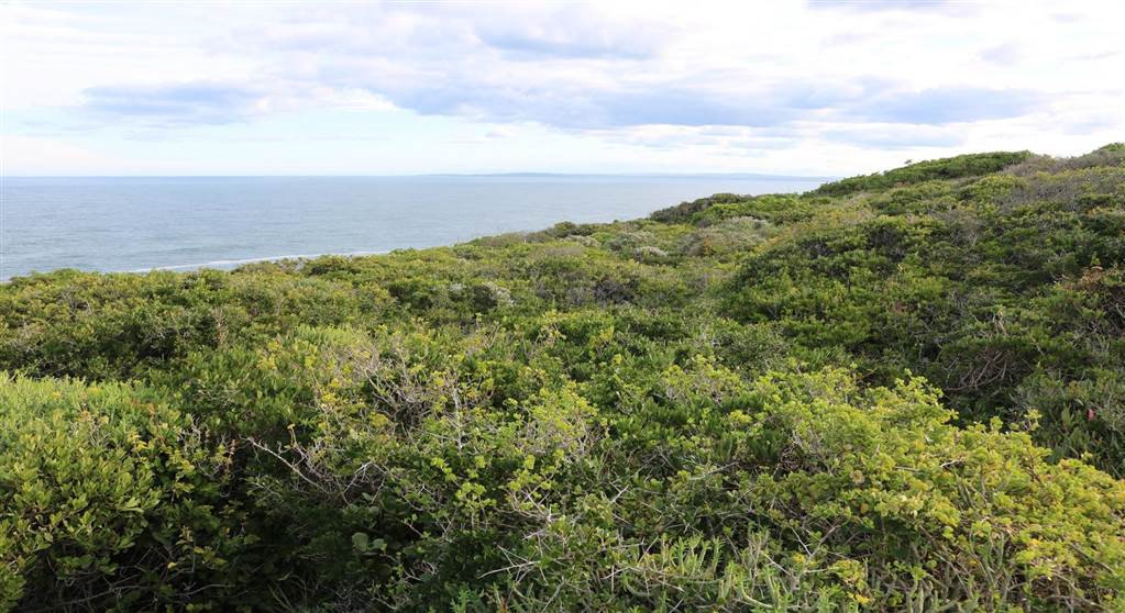 896 m² Land available in Pinnacle Point Golf Estate photo number 15
