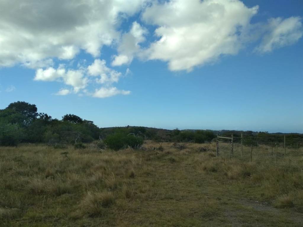 2 ha Land available in Port Alfred photo number 5