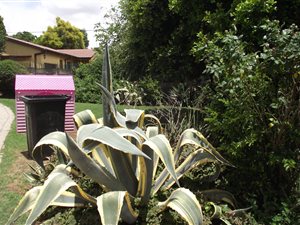 4 Bed House in Isandovale