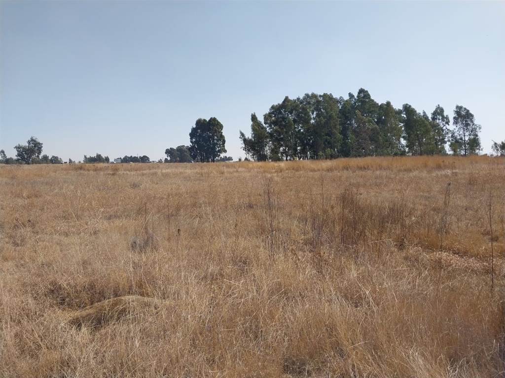 3.4 ha Land available in Delmas photo number 3