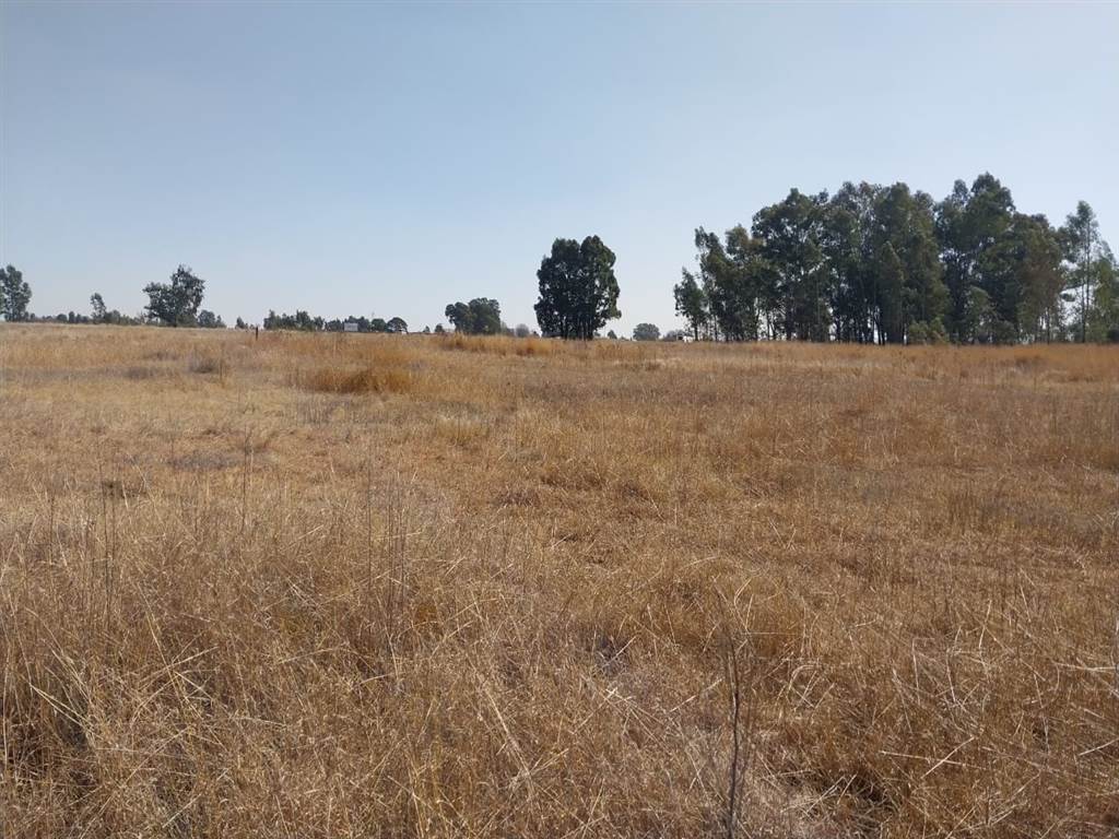3.4 ha Land available in Delmas photo number 7