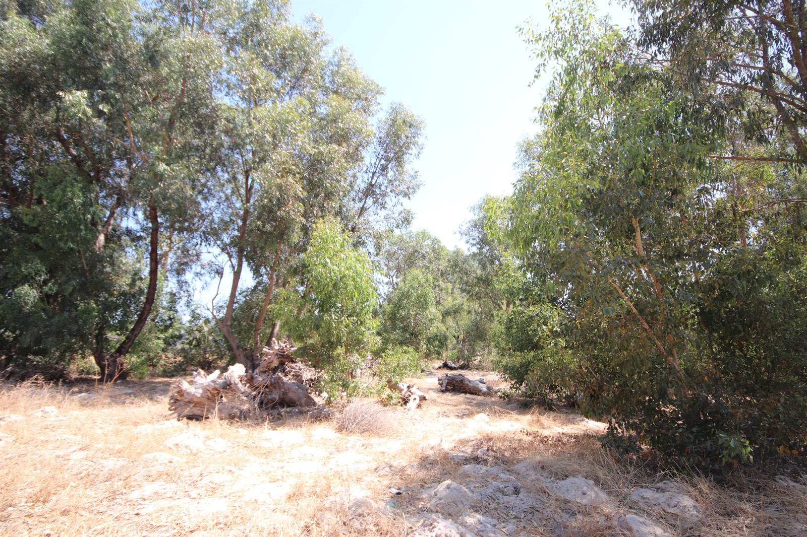 3698 m² Land available in Hopefield photo number 5