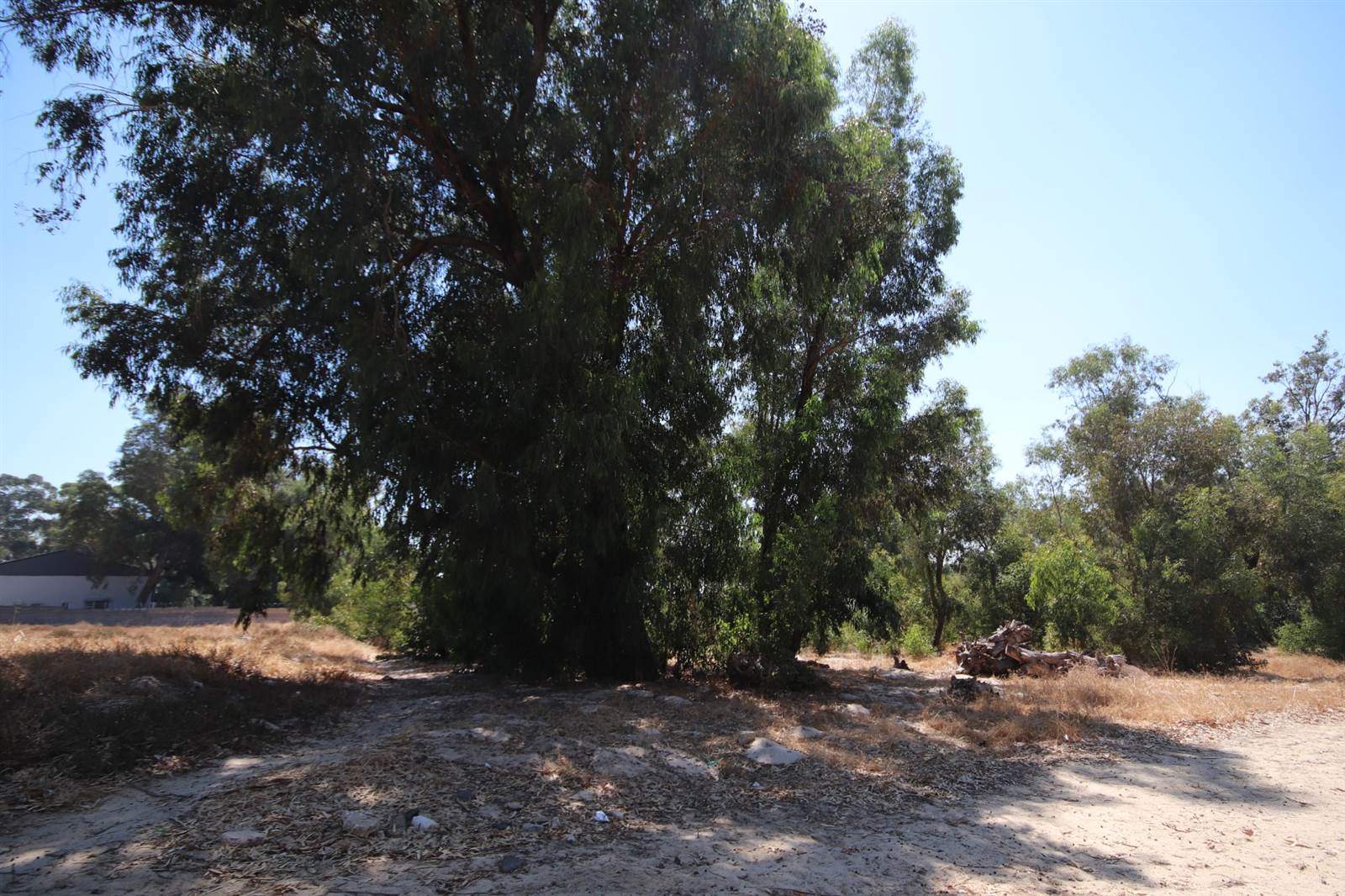 3698 m² Land available in Hopefield photo number 2