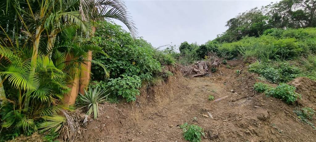 1203 m² Land available in Clare Hills photo number 2