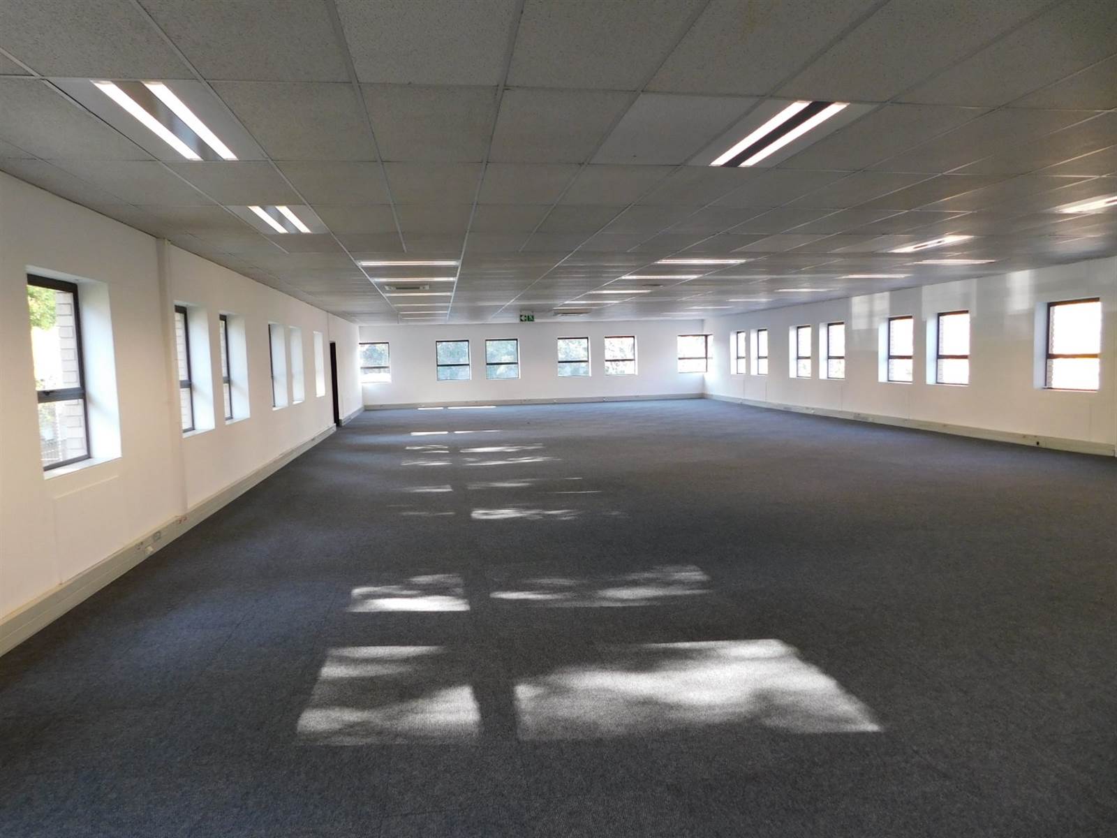454  m² Office Space in Illovo photo number 6