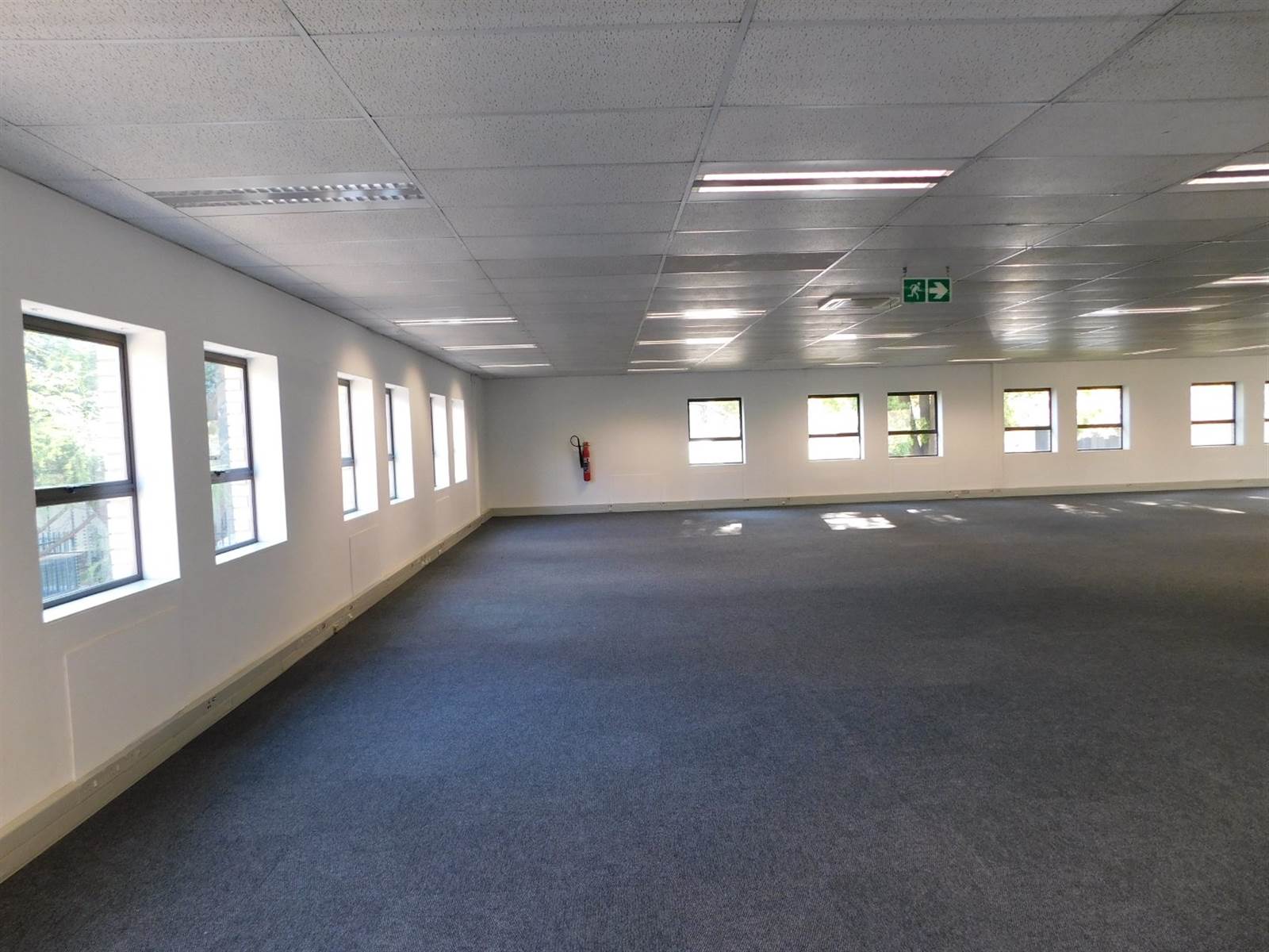 454  m² Office Space in Illovo photo number 13