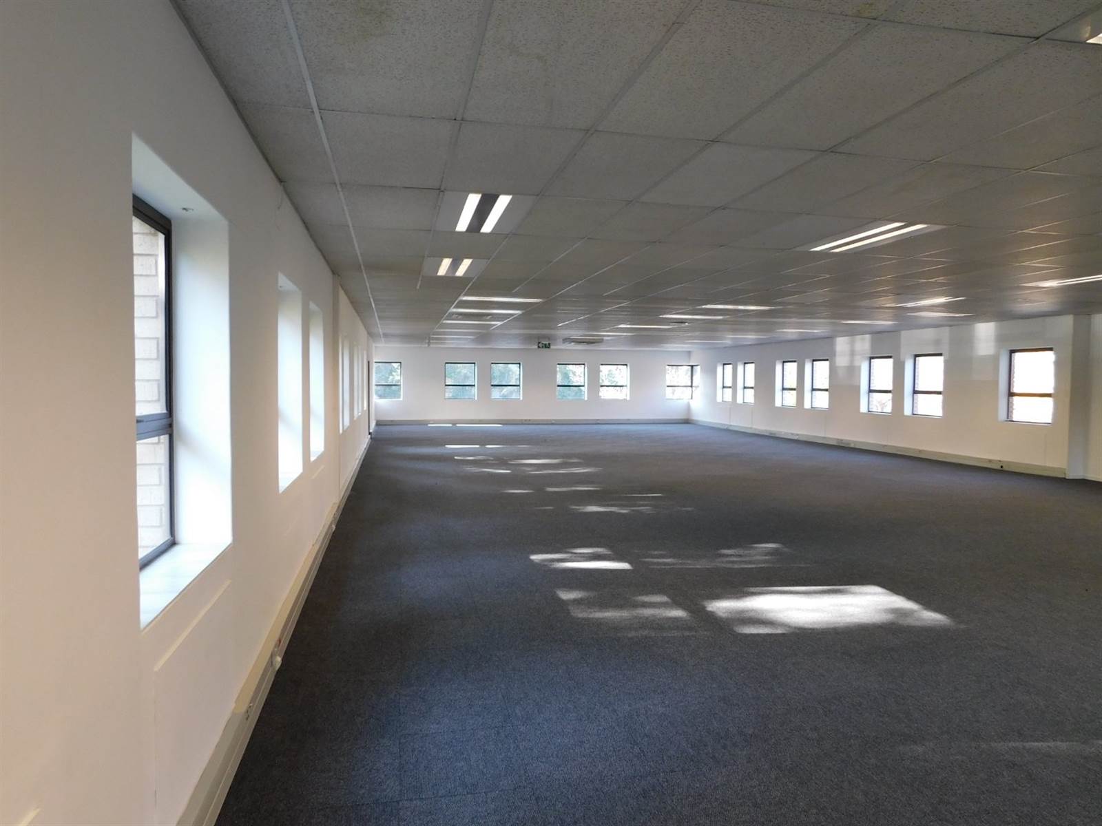 454  m² Office Space in Illovo photo number 9