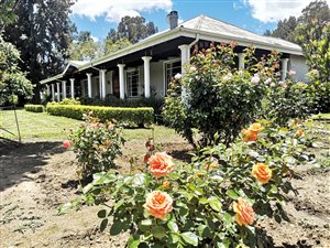 4 Bed House in Dannhauser