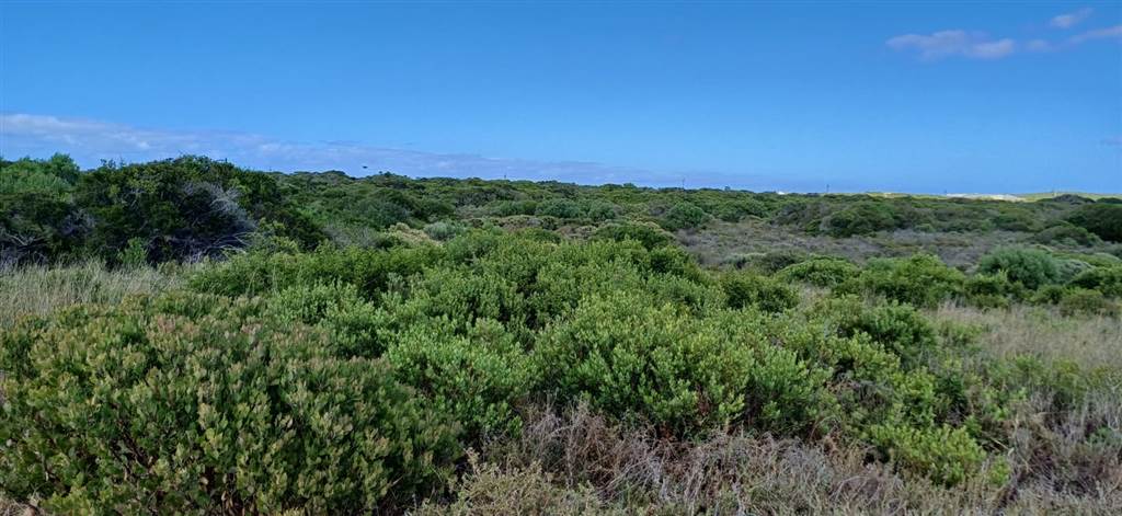 600 m² Land available in Kleinbaai photo number 6