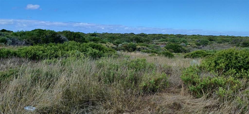 600 m² Land available in Kleinbaai photo number 4