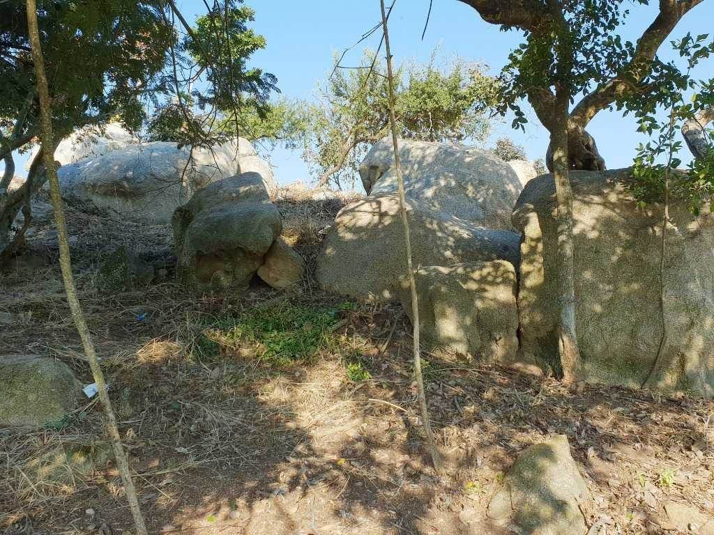 1134 m² Land available in The Rest Nature Estate photo number 5