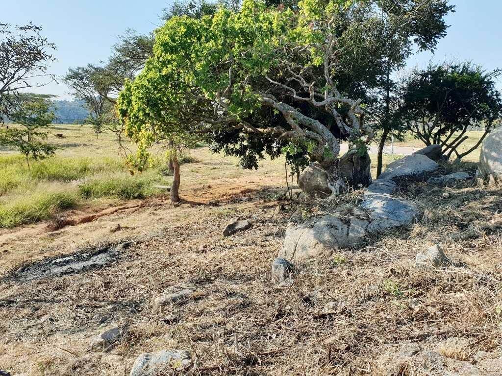 1134 m² Land available in The Rest Nature Estate photo number 10