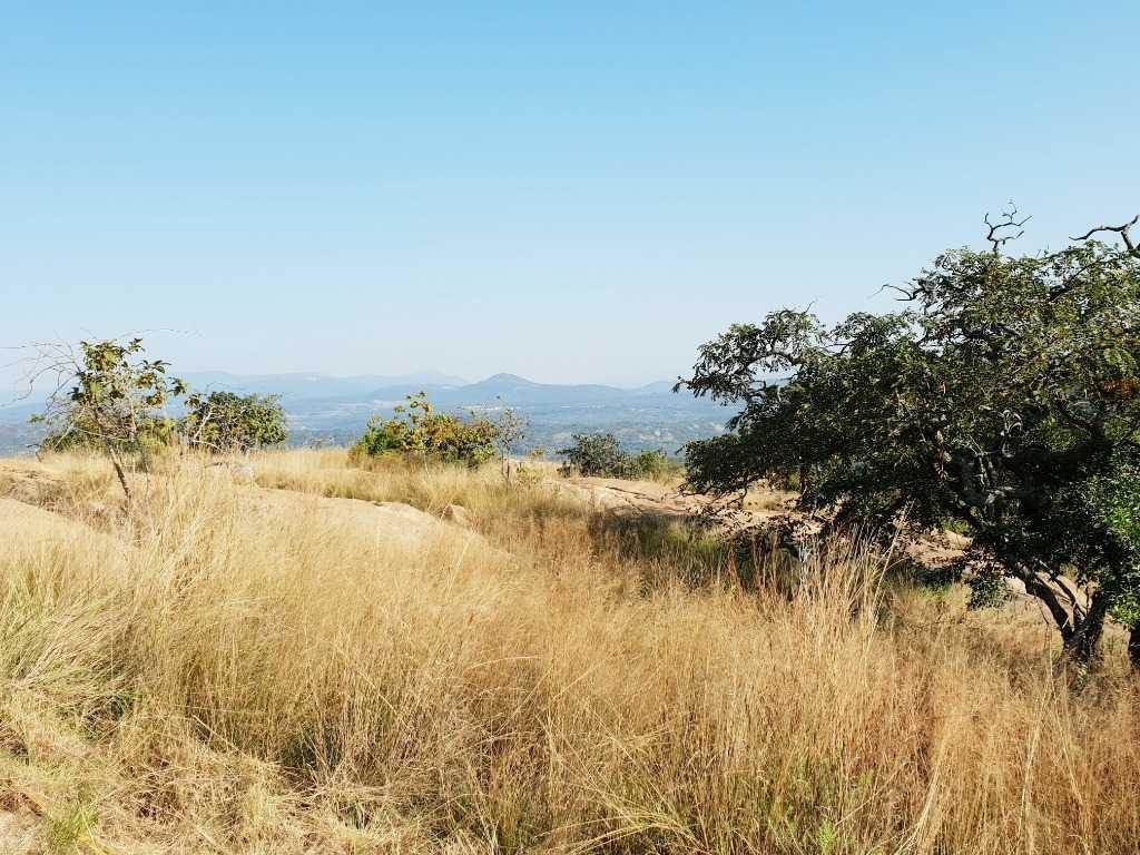 1134 m² Land available in The Rest Nature Estate photo number 7