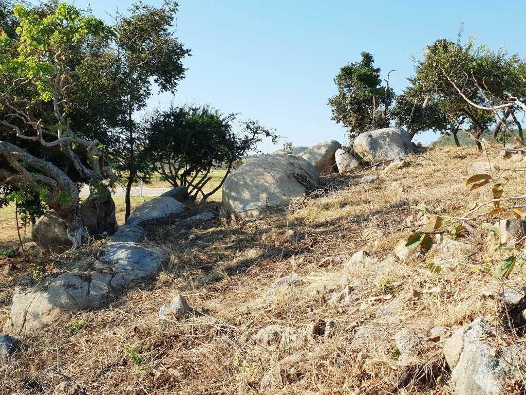 1134 m² Land available in The Rest Nature Estate photo number 9