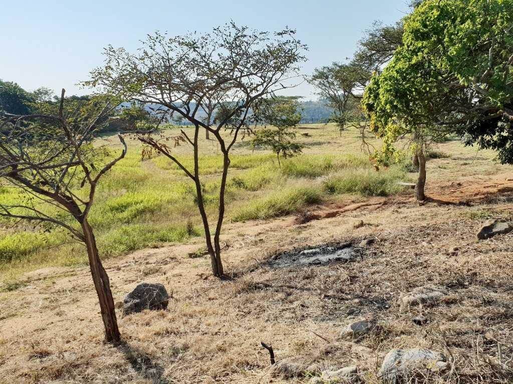 1134 m² Land available in The Rest Nature Estate photo number 11