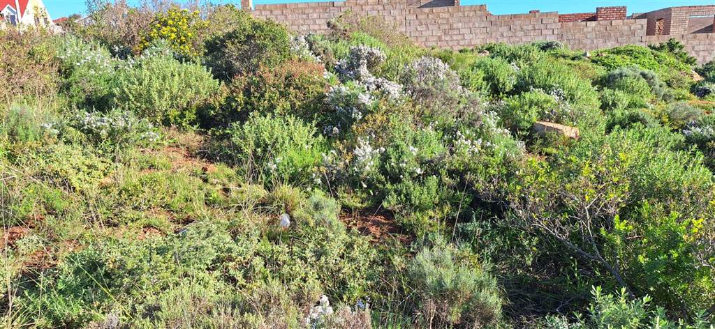 510 m² Land available in Mossel Bay photo number 2