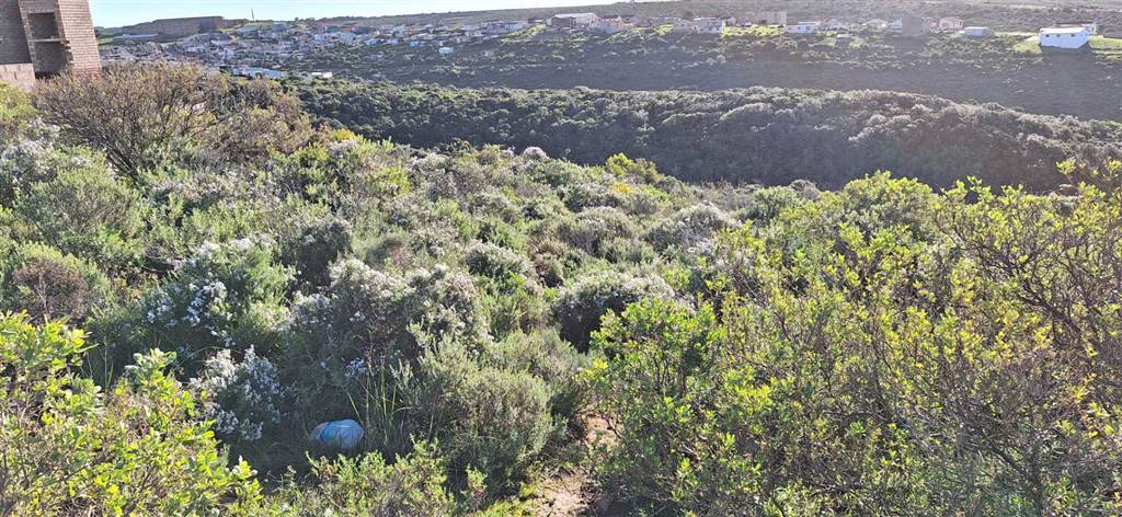 510 m² Land available in Mossel Bay photo number 10