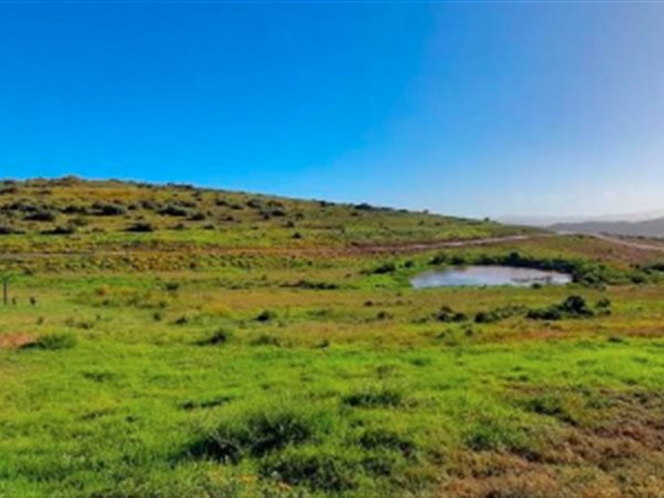 1504 m² Land available in Dana Bay
