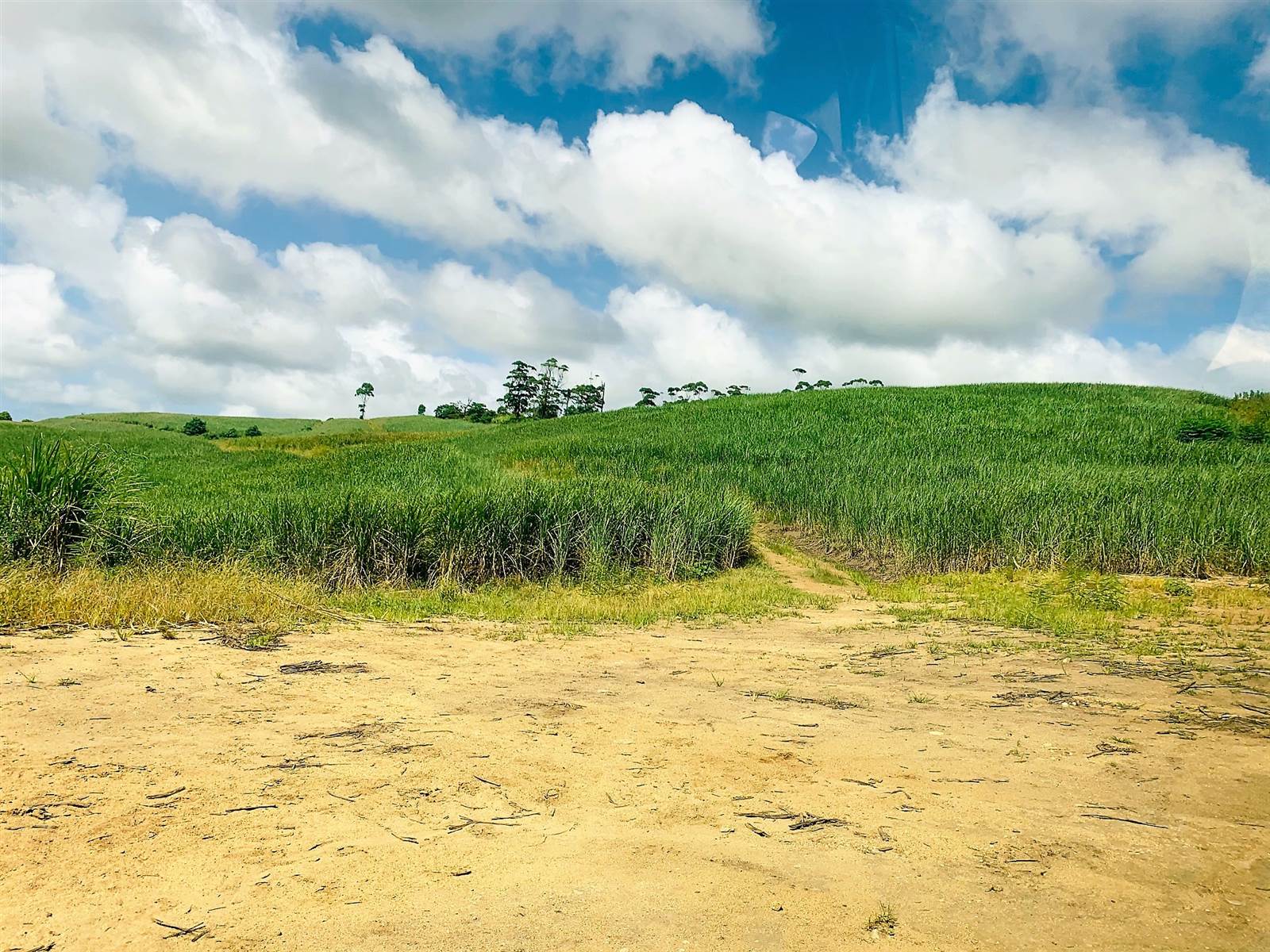 44 ha Land available in Port Shepstone photo number 2